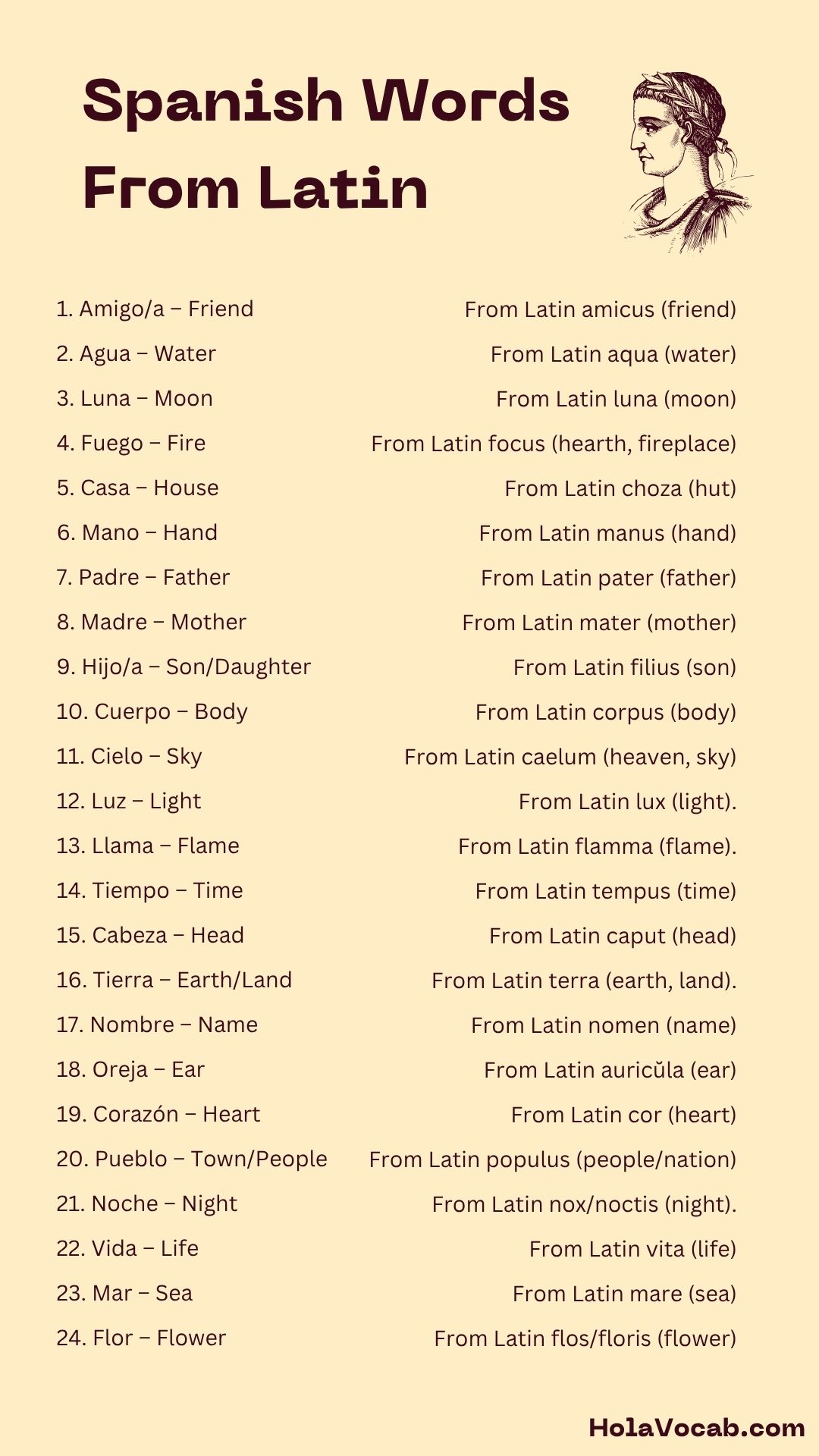 Spanish Words That Come from Latin graphic